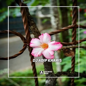 DJ WENA VIRAL TERBARU | DJ 8 LETTERS VIRAL TERBARU MENGKANE