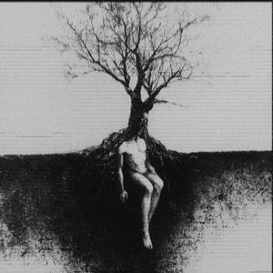 WHATS UNSHOWN (Explicit)