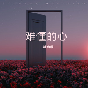 难懂的心 (伴奏)