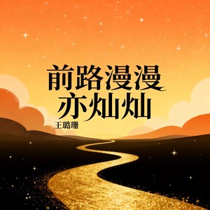 前路漫漫亦灿灿