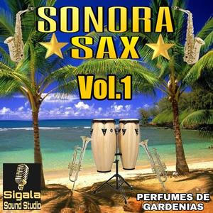 Sonora Sax perfumes de gardenia