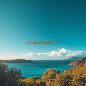 All I Really Want Is You