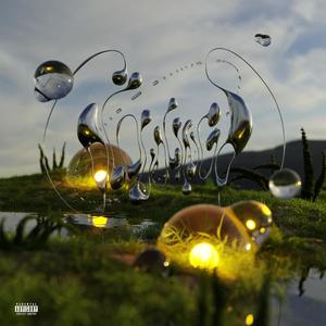The Louvre (feat. Envy D) (Explicit)