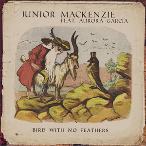 Bird With No Feathers