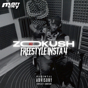 Freestyle Insta 4 (Explicit)