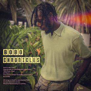 Bobo Chronicles (Explicit)