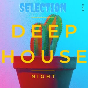 Deep House night