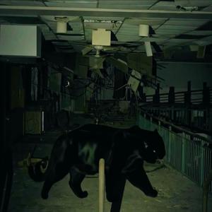 ochocinco (Explicit)