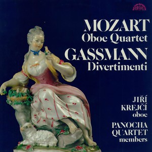 Divertimento in D Major - II. Allegro