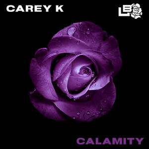 CALAMITY