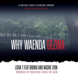 Why Waenda (Gezina) (feat. Bronix & Nash Lyon)