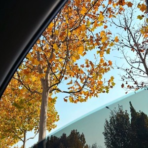 不必在乎我是谁 (烟嗓男版)