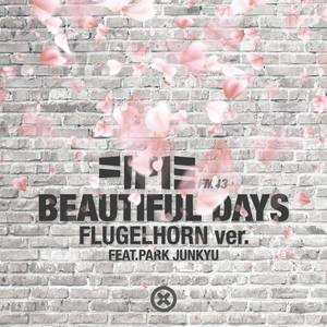 Beautiful Days (Flugelhorn Ver.)