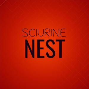 Sciurine Nest