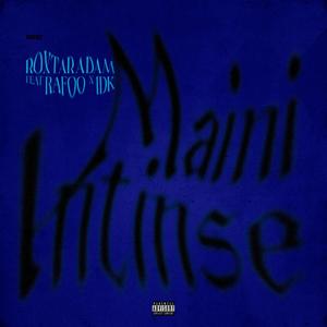 Maini Intinse (feat. Rafoo & IDK) [Explicit]