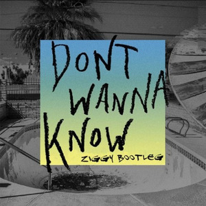 Dont wanna know (Ziggy Bootleg)