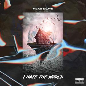 I hate the world (Explicit)