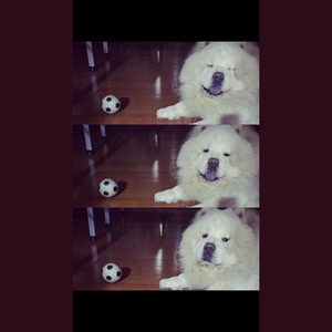 我们总是在寻找