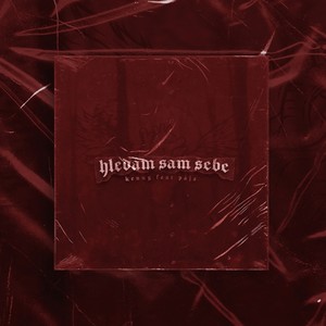 Hledám sám sebe(feat. Pája) (Explicit)