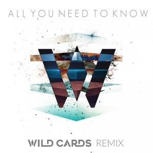 All You Need To Know (Wild Cards Remix)