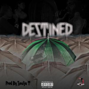 Destined (Explicit)