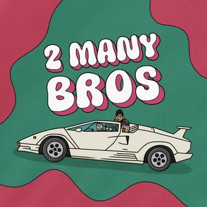 2 MANY BROS (Explicit)