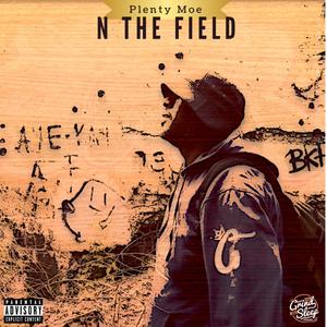 N The Field (Explicit)