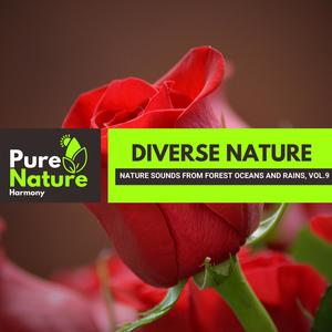 Diverse Nature - Nature Sounds from Forest Oceans and Rains, Vol.9