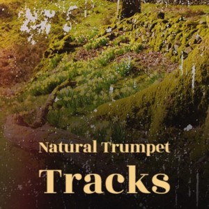 Natural Trumpet Tracks