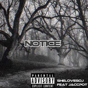 Notice (feat. Jaccpot) [Explicit]