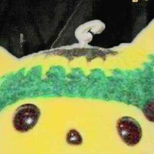 Manjaro (Hidden Fungus)