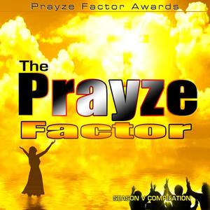 Prayze Factor Compilation, Vol. V