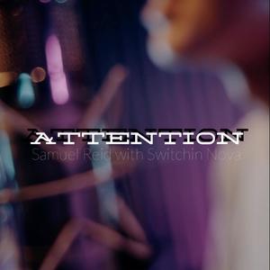 searching for attention (Radio Edit)