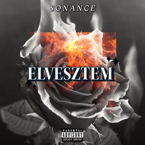 ELVESZTEM (Explicit)