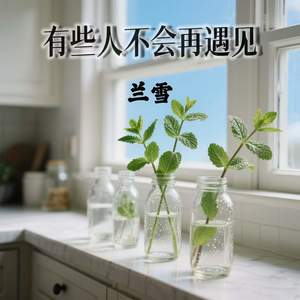 有些人不会再遇见