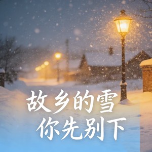 故乡的雪你先别下