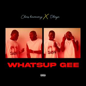 Whatsup Gee (feat. Otega) [Explicit]