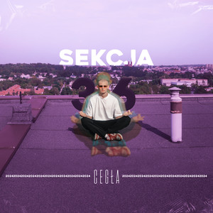 SEKCJA 3 6 (Explicit)