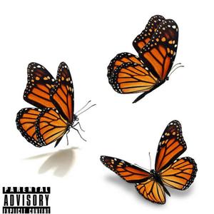 Butterflies (Papillons) (Explicit)