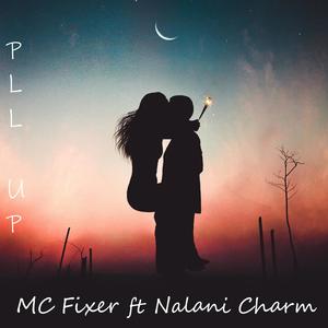 Pull Up (feat. Nalani Charm) (Explicit)