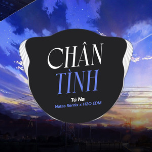 Chân Tình (EDM)