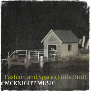 Fashion and Space (Little Bird)