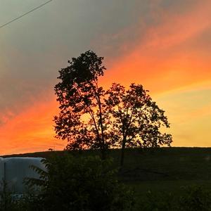 Any Price (Explicit)