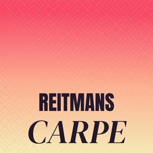 Reitmans Carpe