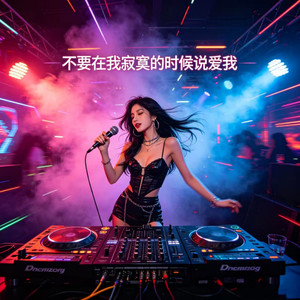 不要在我寂寞的时候说爱我