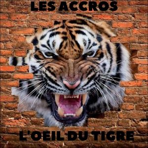 L'oeil du tigre