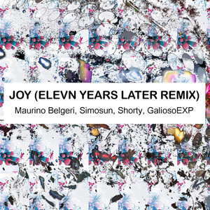 Joy (Elevn Years Later Remix)