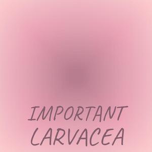 Important Larvacea