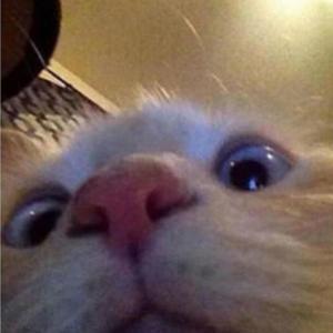 DUBIDUBIDABADABA TECHNO EDIT