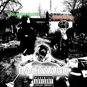 Backyard (feat. Sologpaydafee) [Explicit]